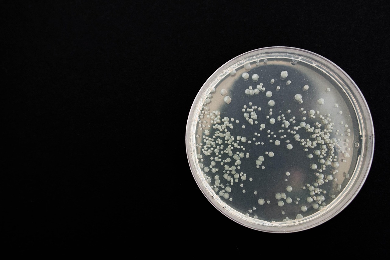 从生物制造到绿色配方：2026年合成生物香原料的产业化应用与趋势